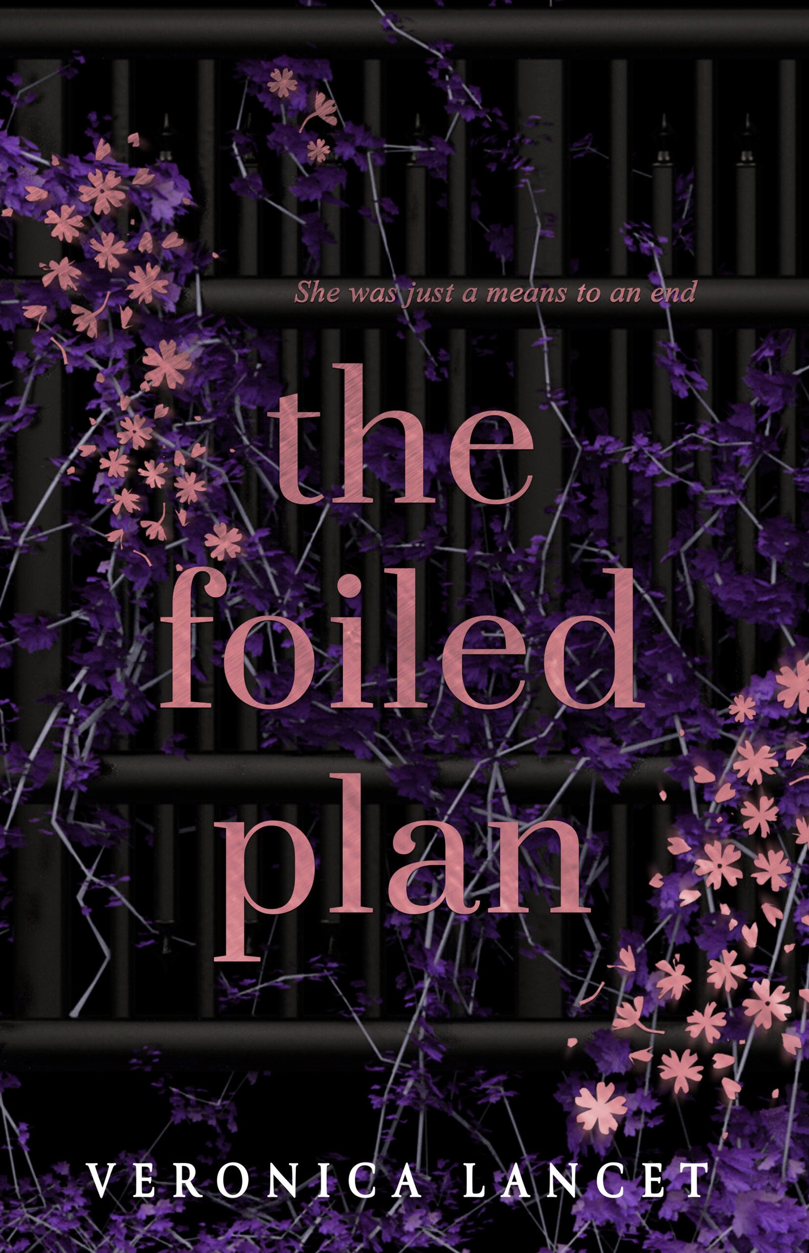 124015402-scaled-1 The Foiled Plan By Veronica Lancet - Image 1