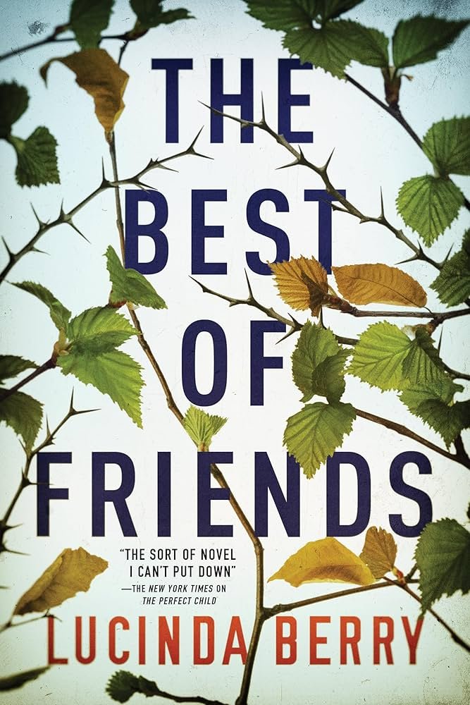 81TWhjluSeL._AC_UF10001000_QL80_ The Best of Friends By Lucinda Berry - Image 1