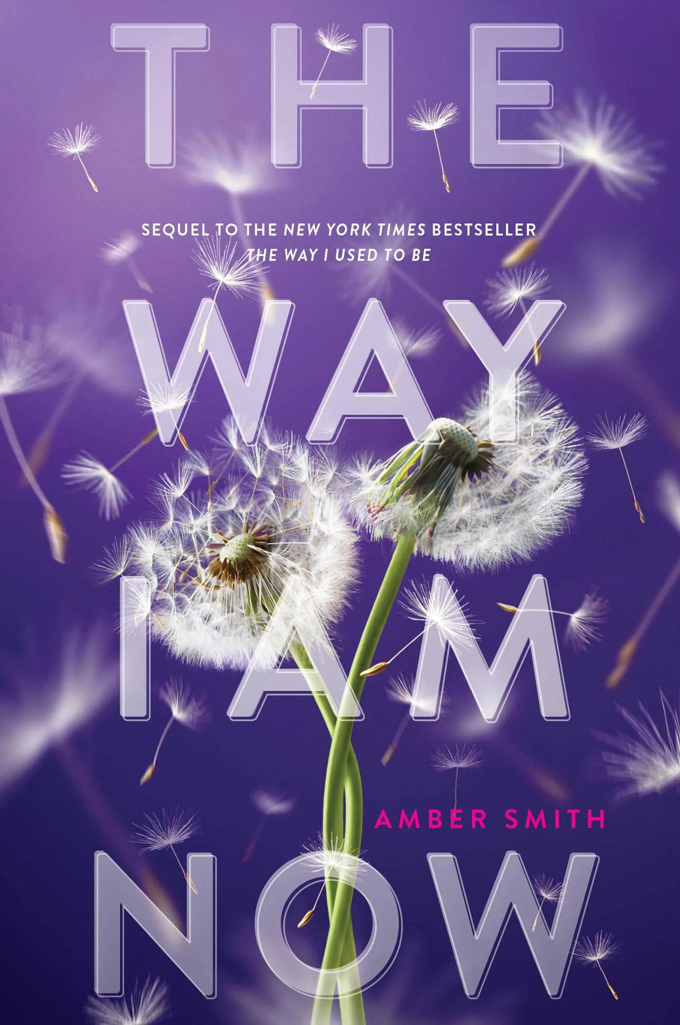 101143330 The Way I Am Now By Amber Smith - Image 1
