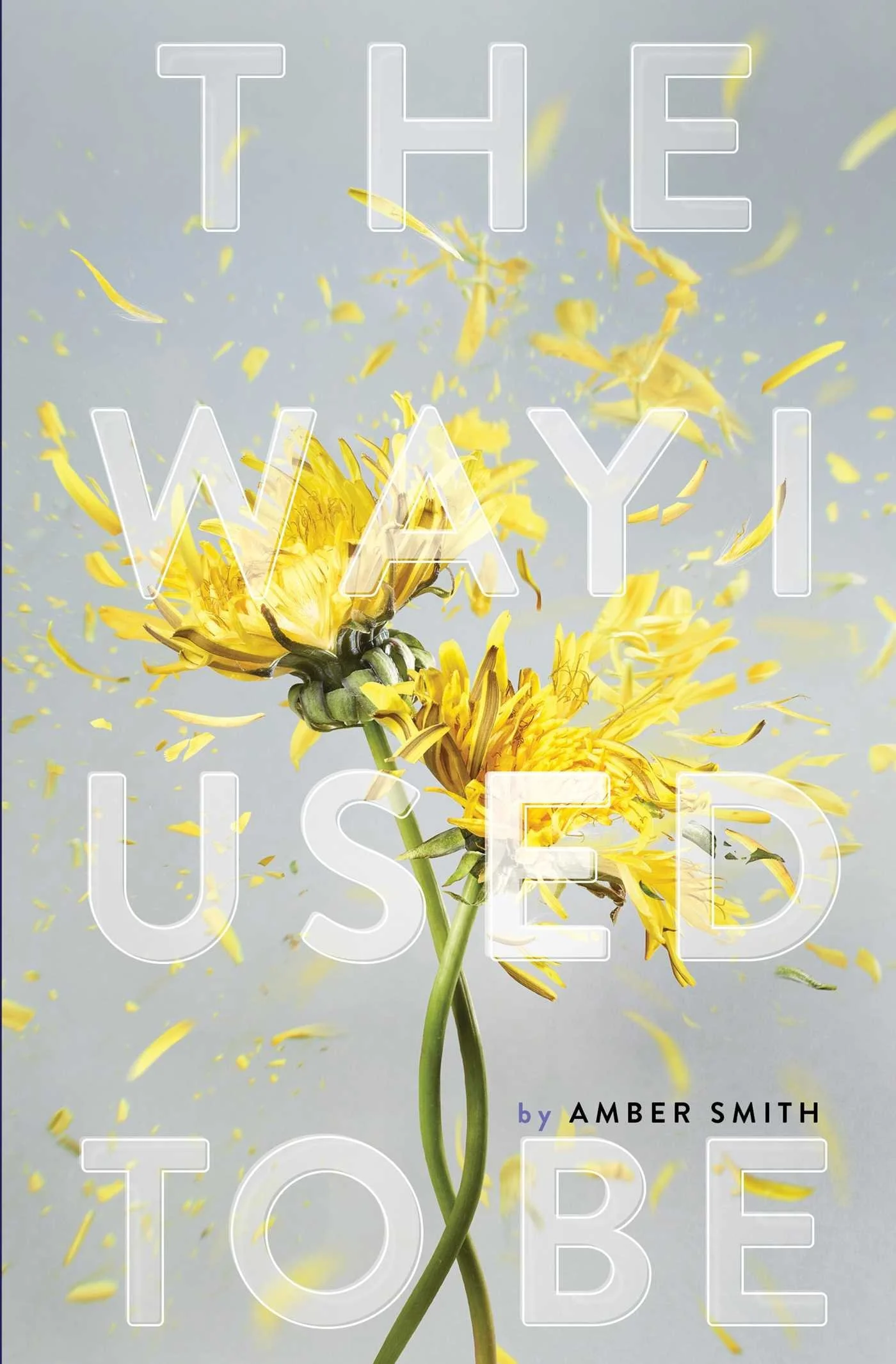 23546634 The Way I Used to Be By Amber Smith - Image 1