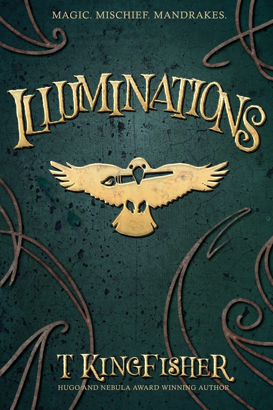 Version 1.0.0 Illuminations By T. Kingfisher - Image 1