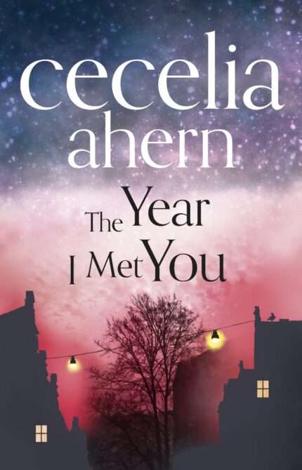 The Year I Met You By Cecelia Ahern