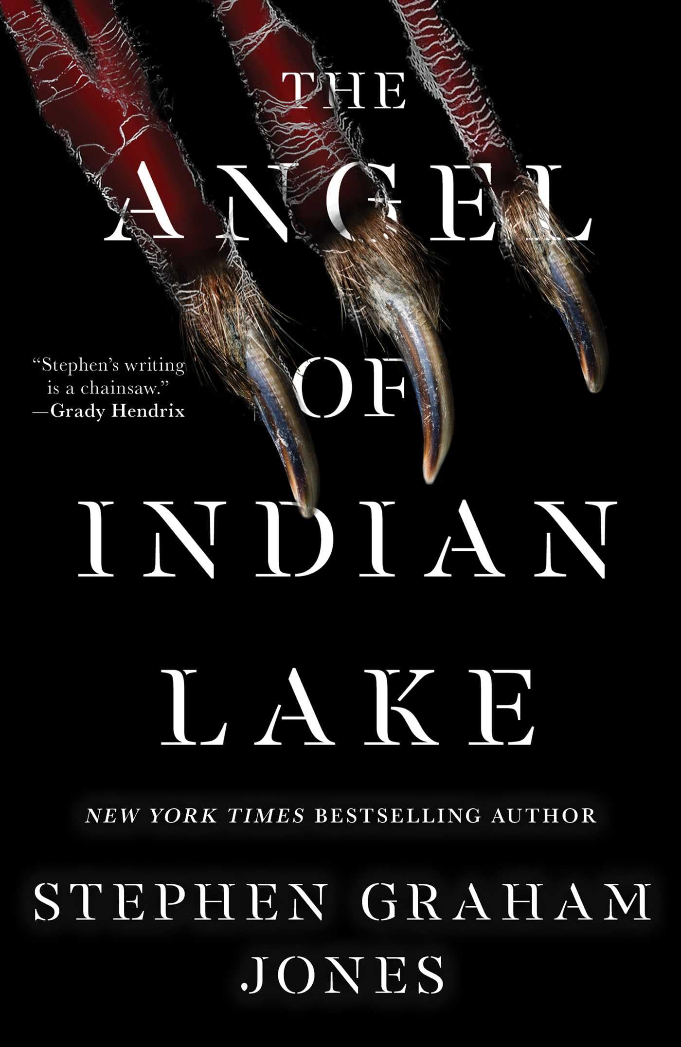 71NPqad1VtL The Angel of Indian Lake By Stephen Graham Jones - Image 1