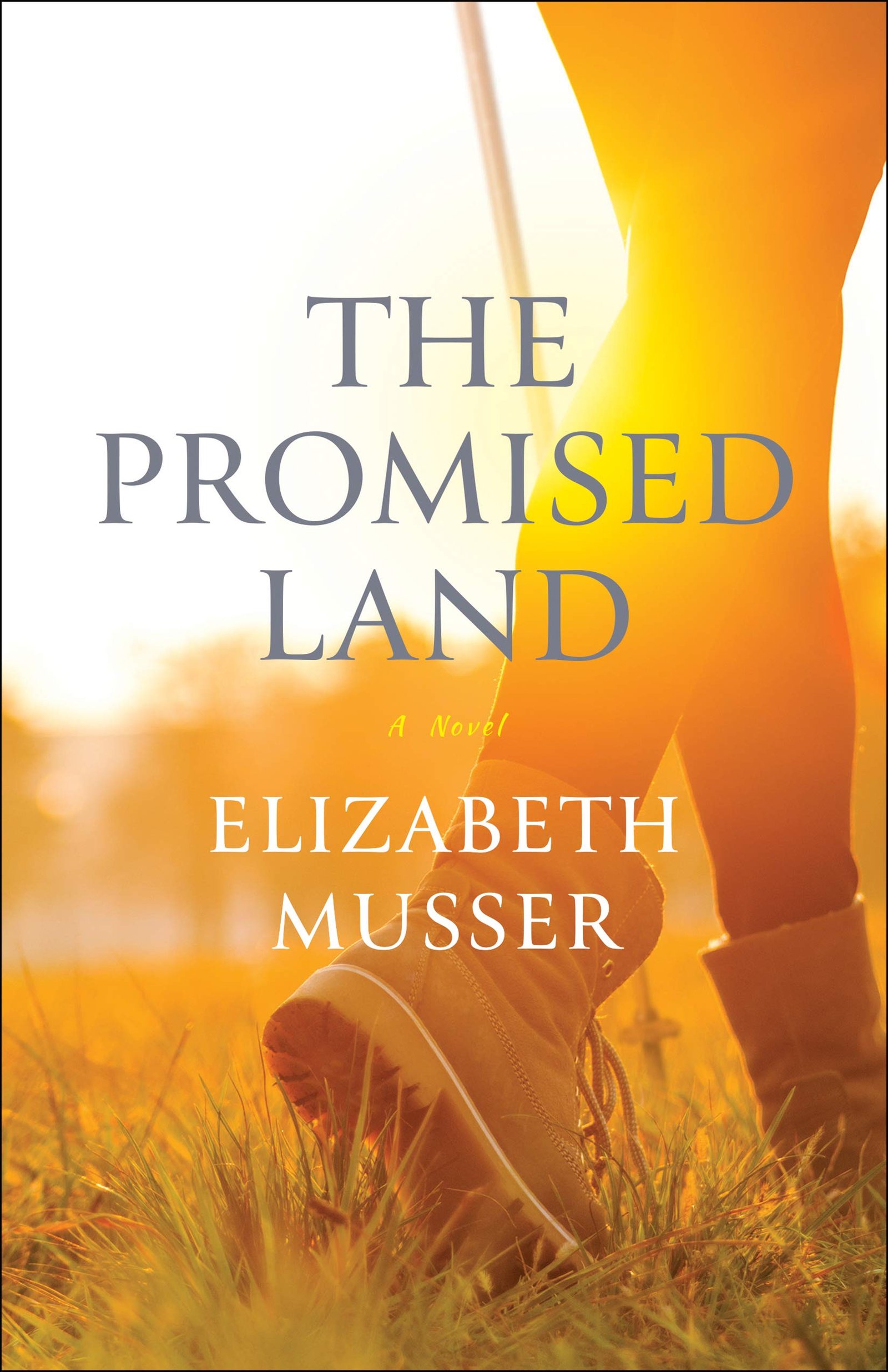 The Promised Land  By Elizabeth Musser