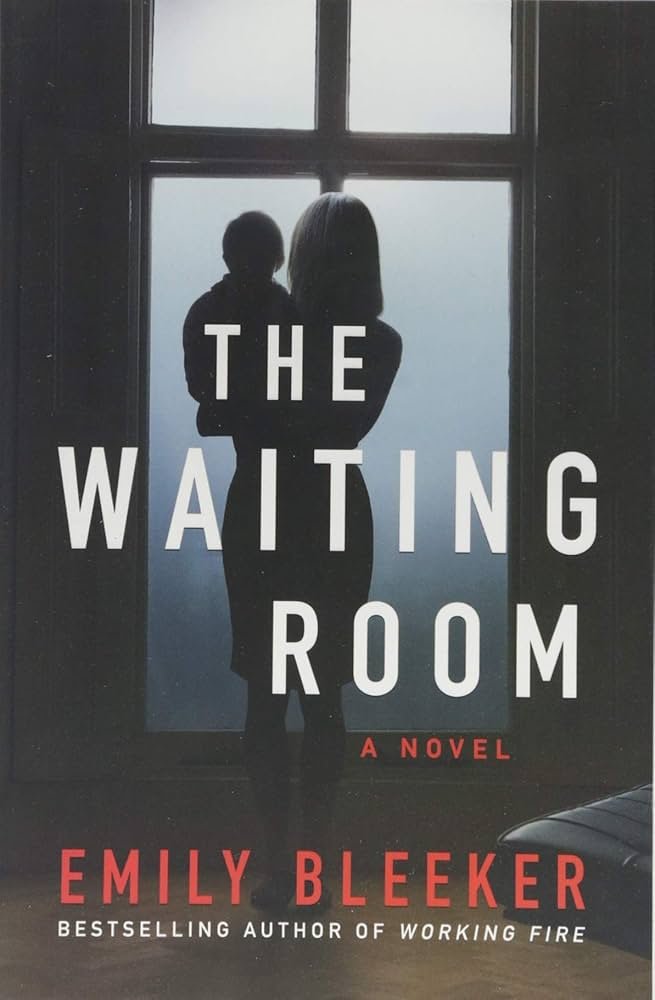 71xAM4DQJUL._AC_UF10001000_QL80_ The Waiting Room By Emily Bleeker - Image 1