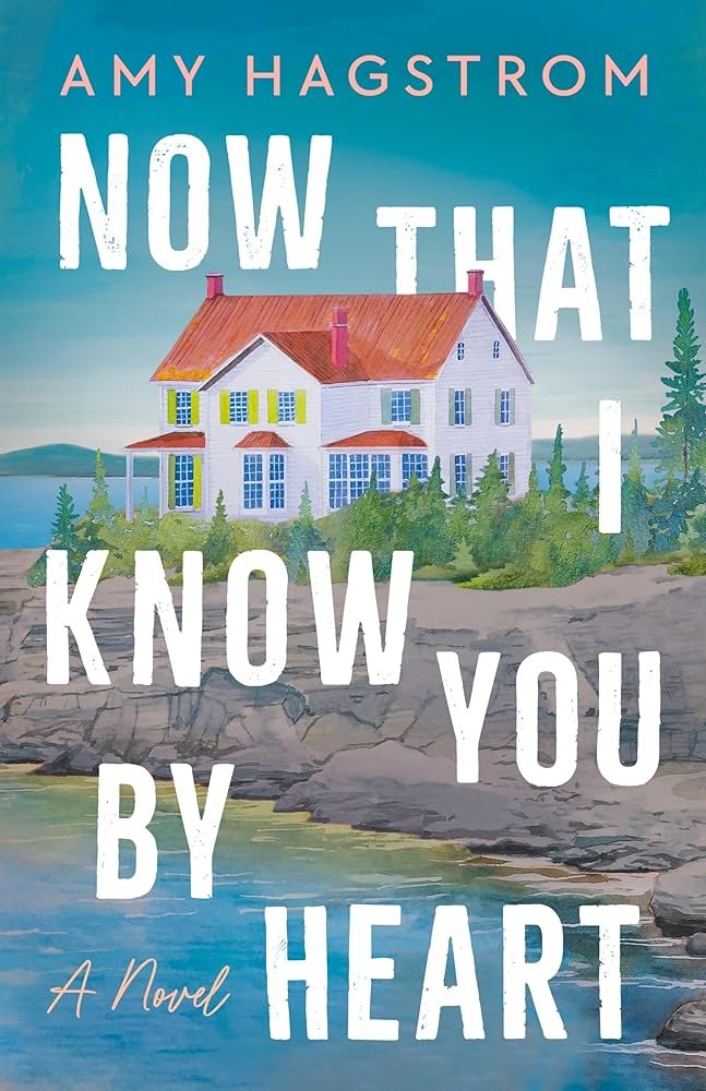 81xzPvKgDKL._AC_UF10001000_QL80_ Now That I Know You by Heart: A Novel By Amy Hagstrom - Image 1