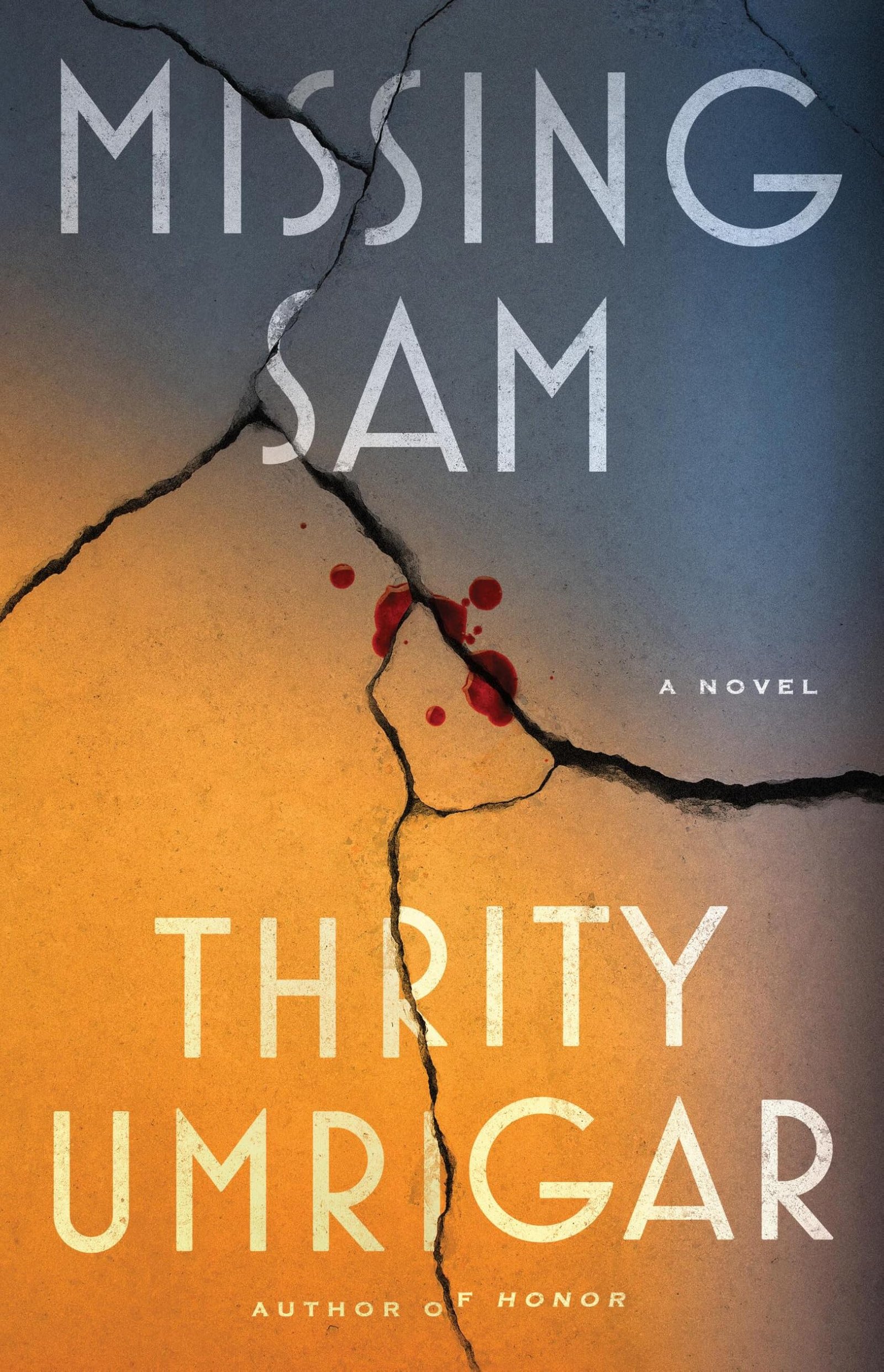 91ke2GMMjoL Missing Sam By Thrity Umrigar - Image 1