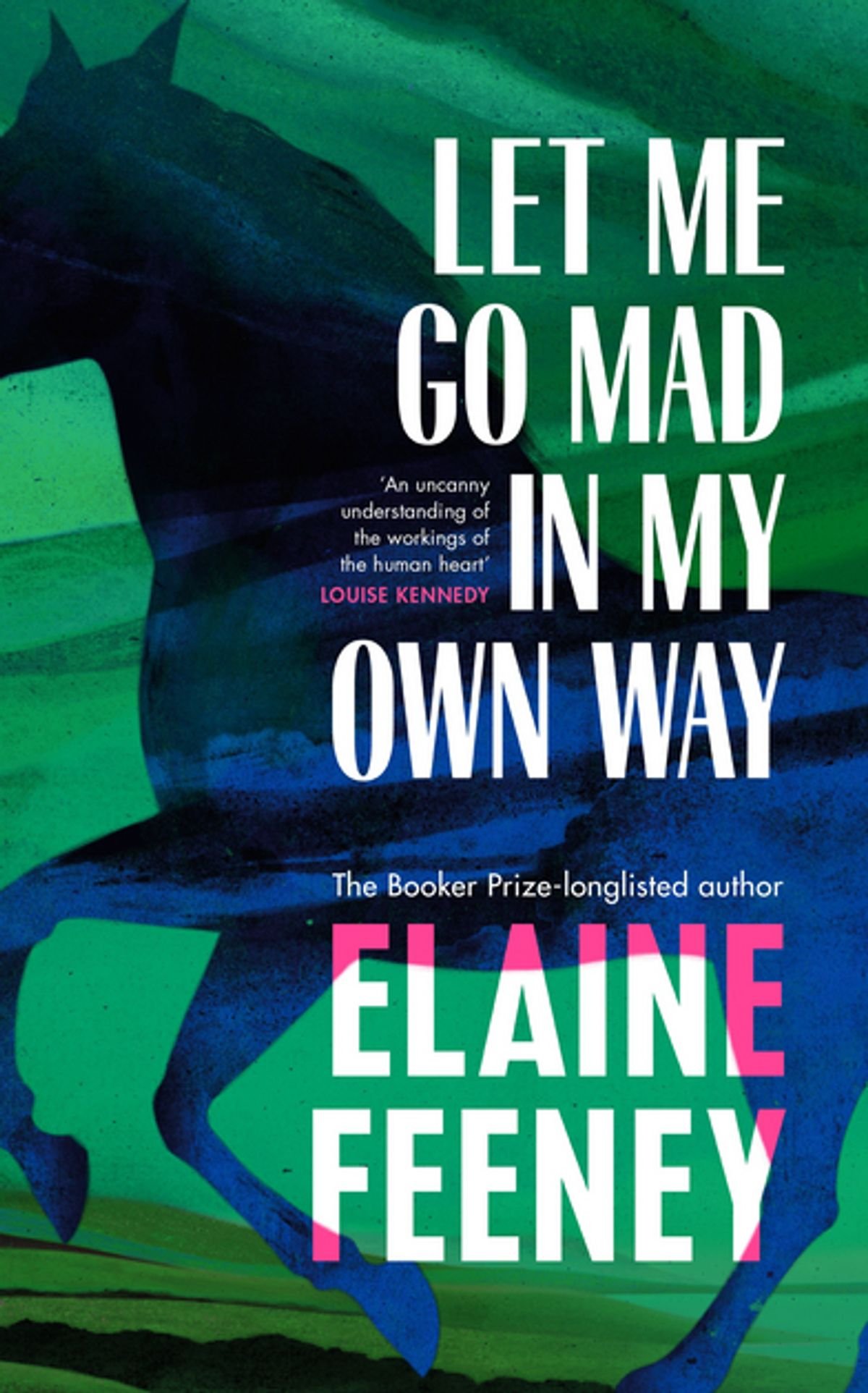let-me-go-mad-in-my-own-way Let Me Go Mad in My Own Way By Elaine Feeney - Image 1