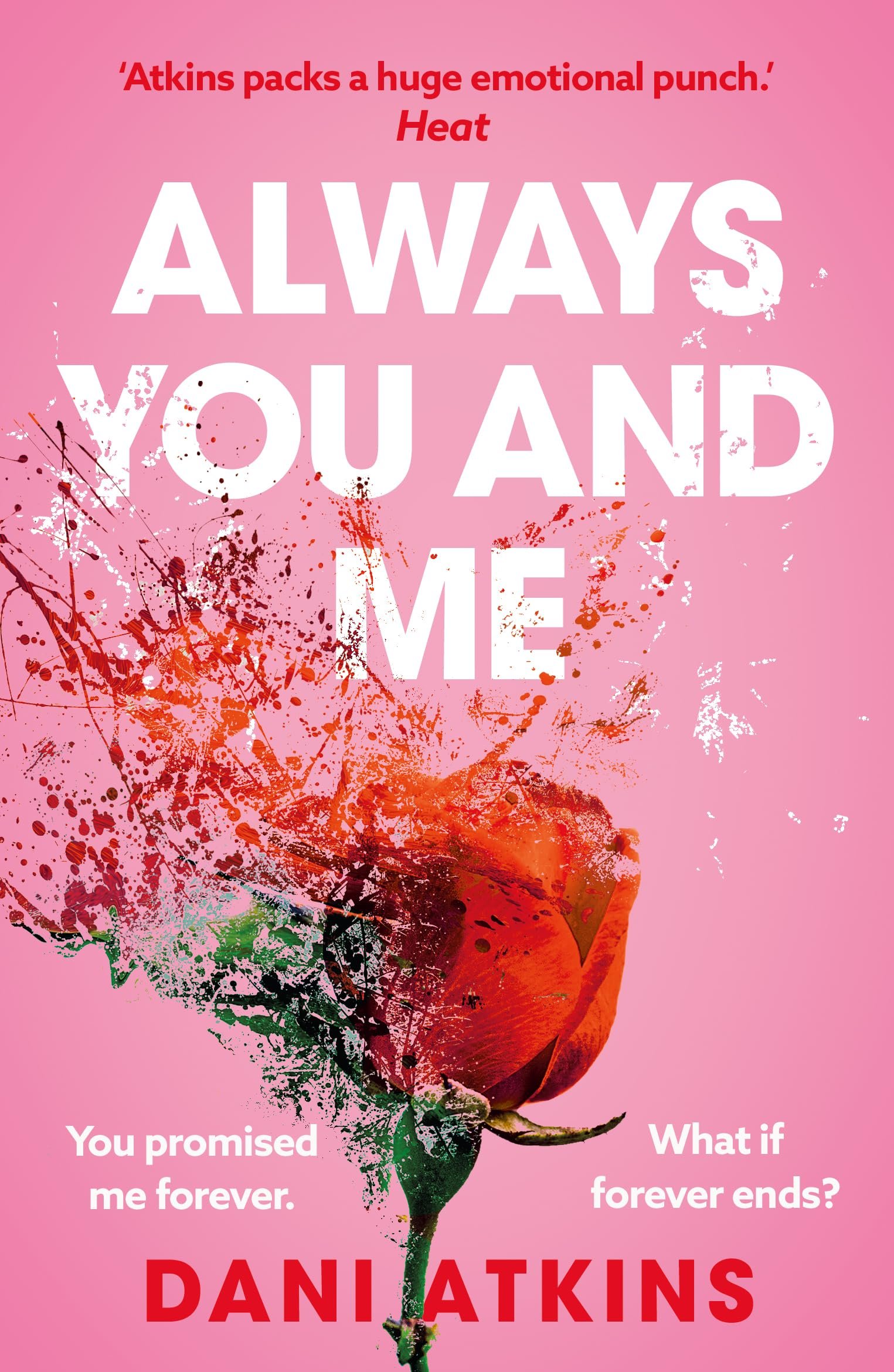 81lHs2bSDHL Always You and Me By Dani Atkins - Image 1
