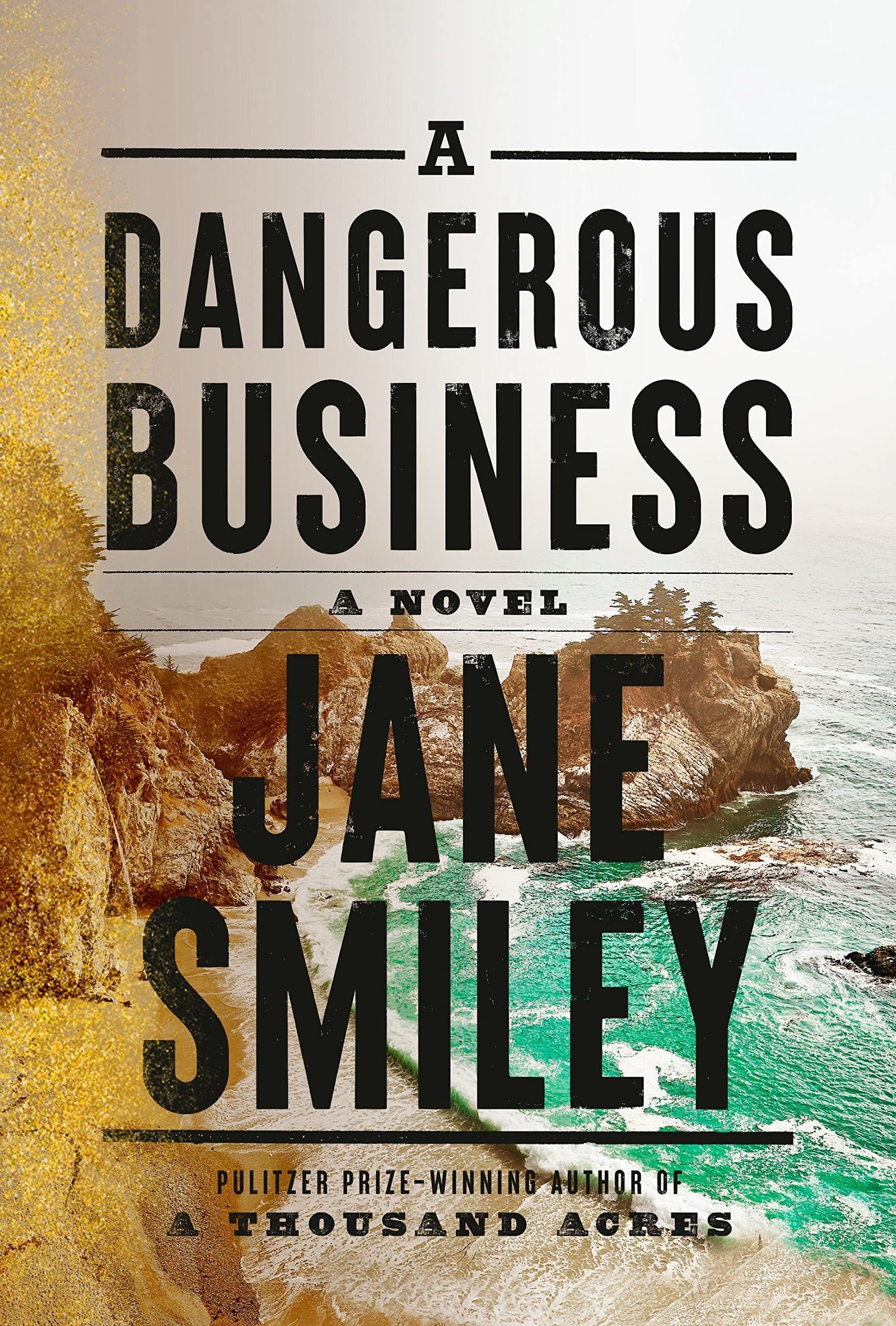 smiley_custom-e5de83082962b96f837d86d00384b90d377cb23e A Dangerous Business By Jane Smiley - Image 1