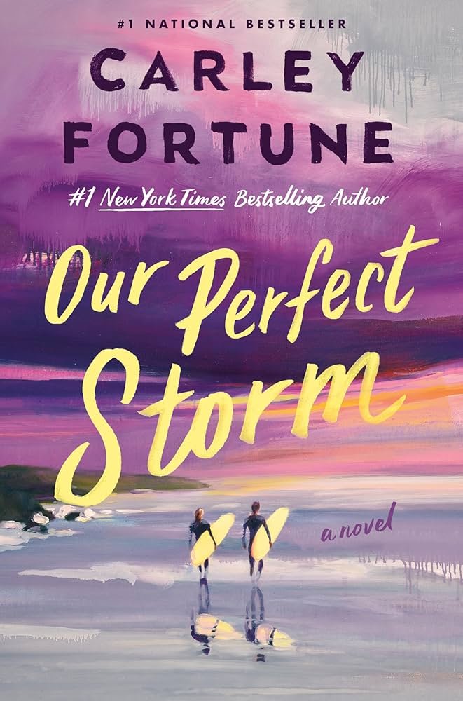 81iu5U7BV9L._UF10001000_QL80_ Our Perfect Storm By Carley Fortune - Image 1