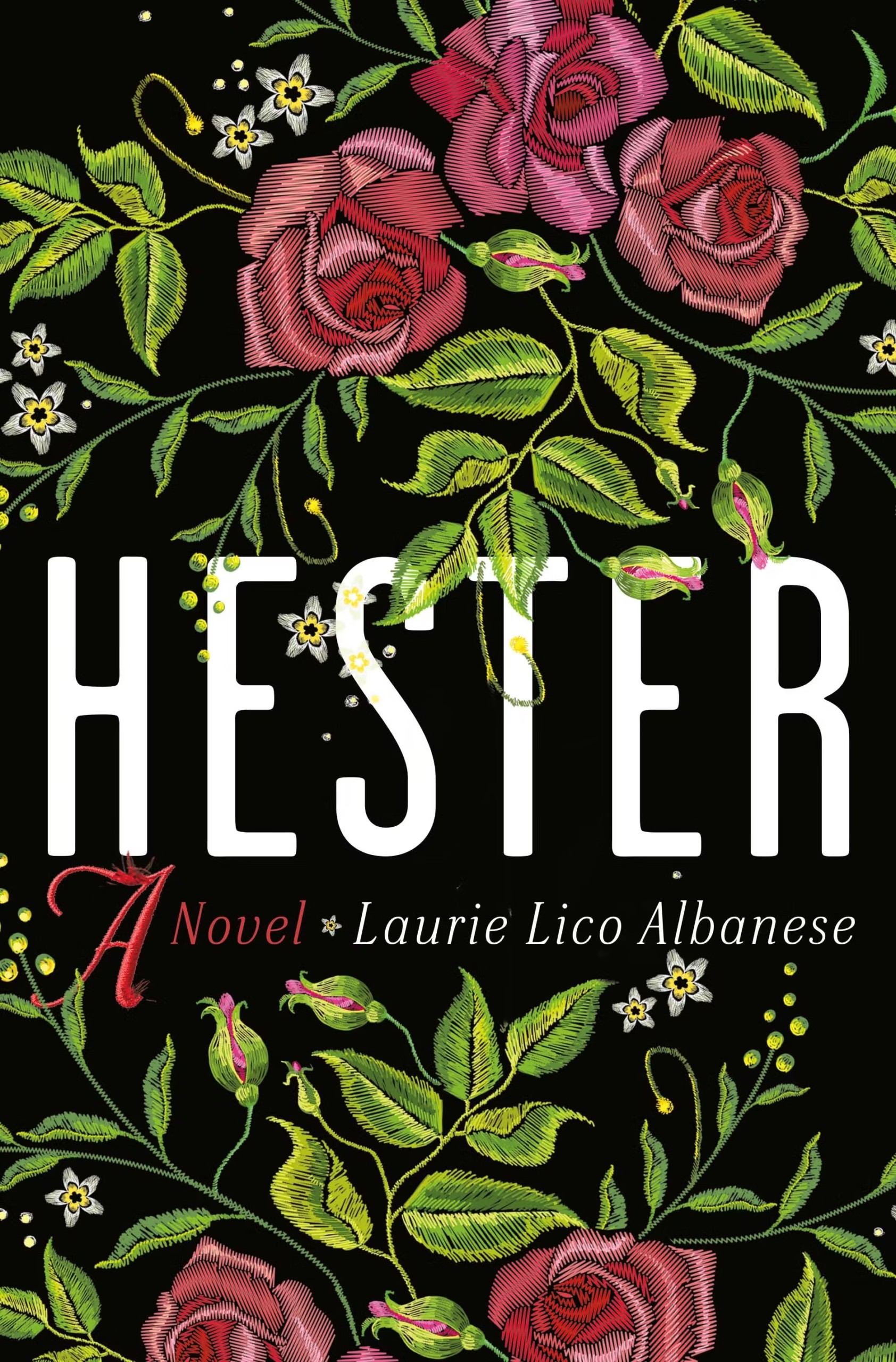 9781250278555-scaled-2 Hester By Laurie Lico Albanese - Image 1