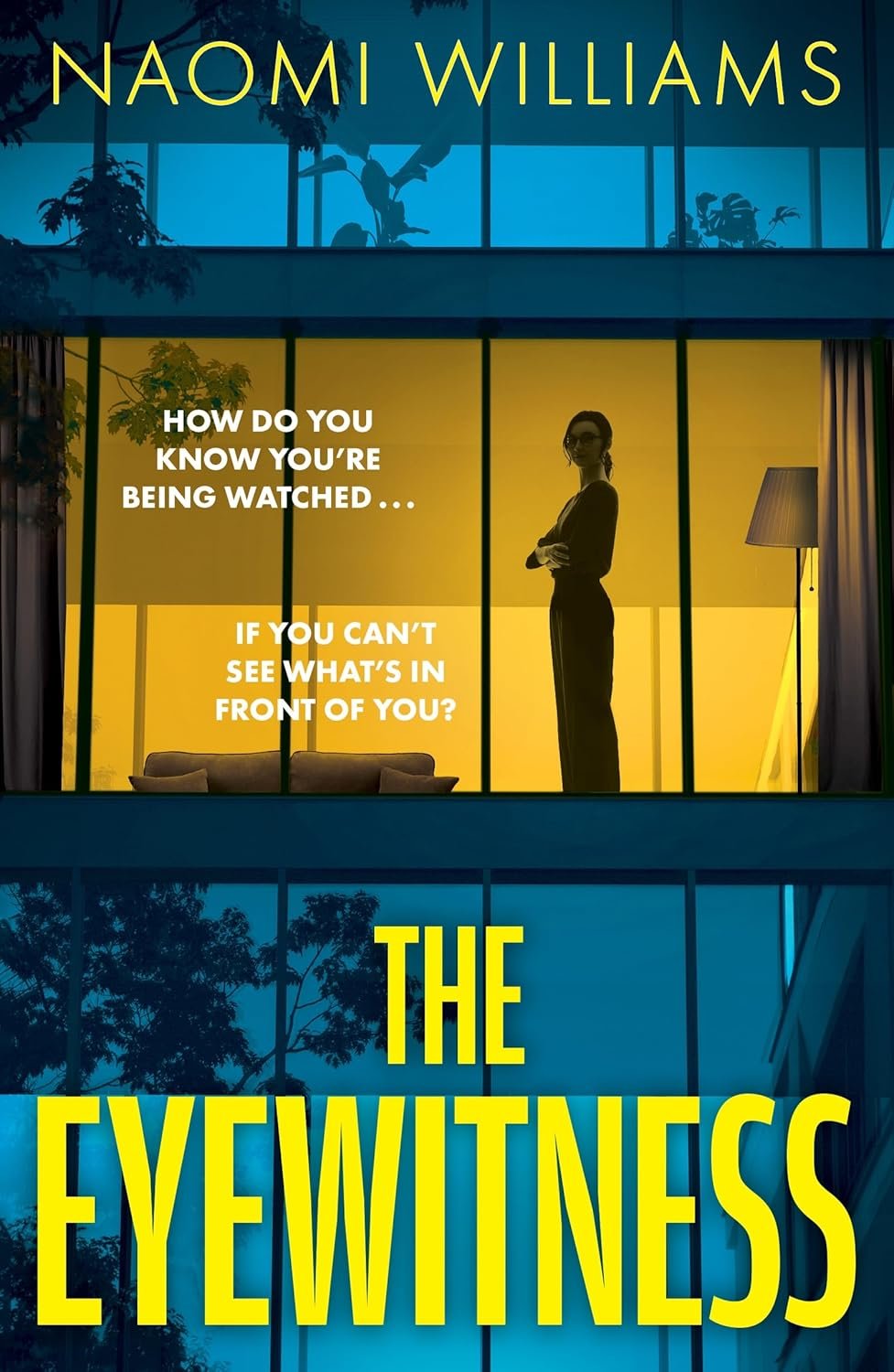 241542263.jpg The Eyewitness By Naomi Williams - Image 1