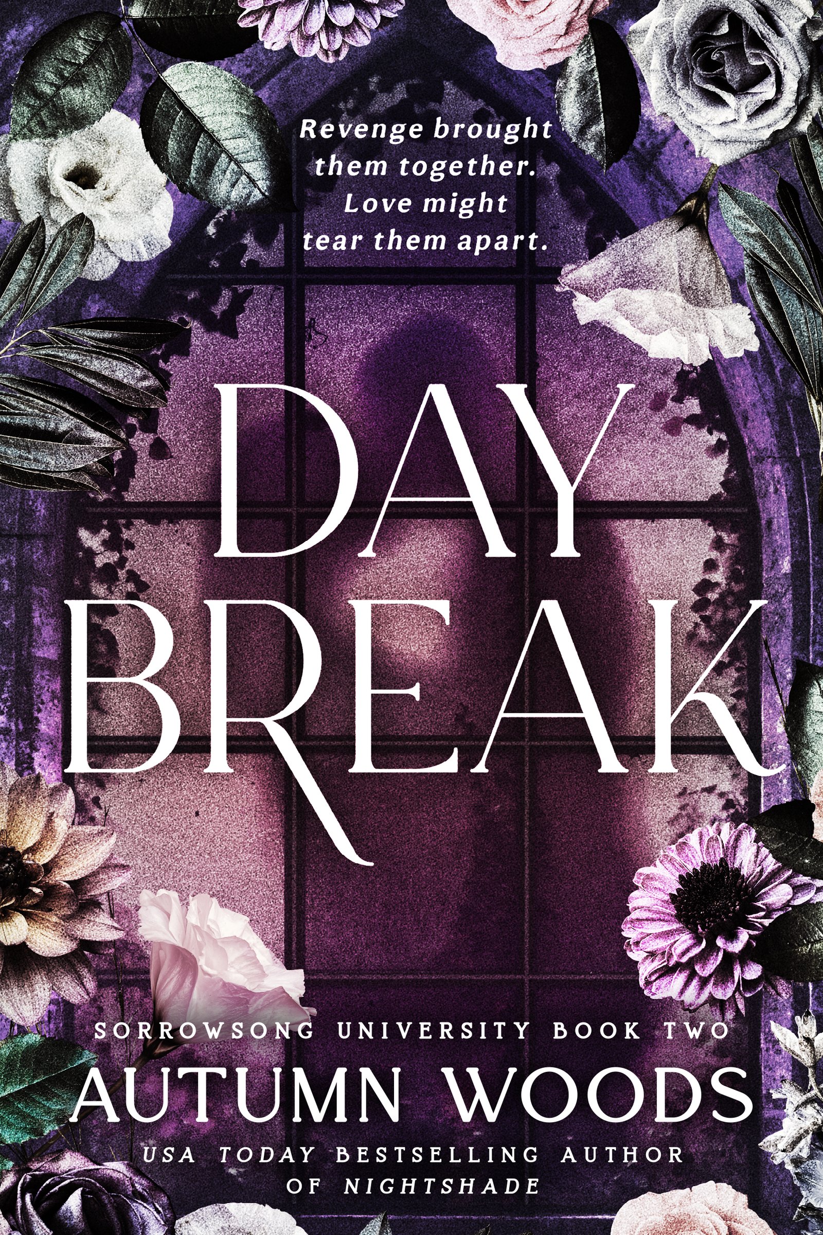 243315086.jpg Daybreak By Autumn Woods - Image 1