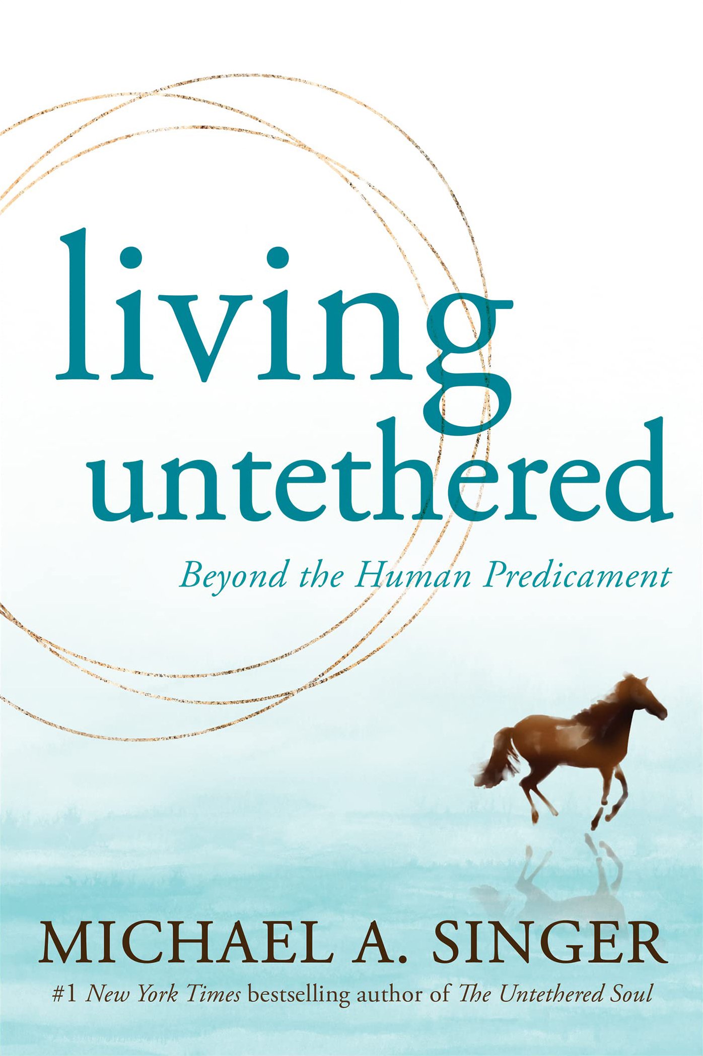 59552636.jpg Living Untethered: Beyond the Human Predicament By Michael A. Singer - Image 1