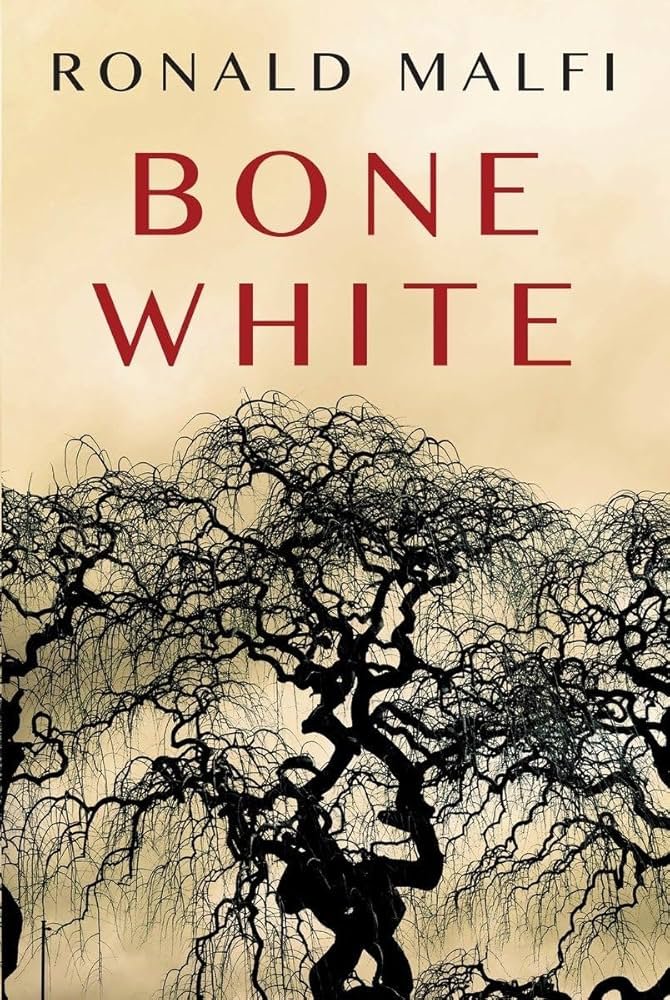 71a6fDmoUeL._AC_UF10001000_QL80_.jpg Bone White by Ronald Malfi - Image 1