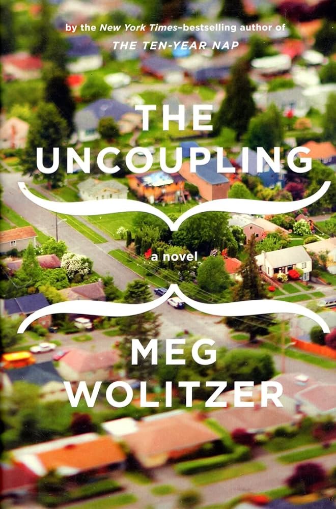 71mD0P0CQsS._AC_UF10001000_QL80_-1.jpg The Uncoupling by Meg Wolitzer - Image 1
