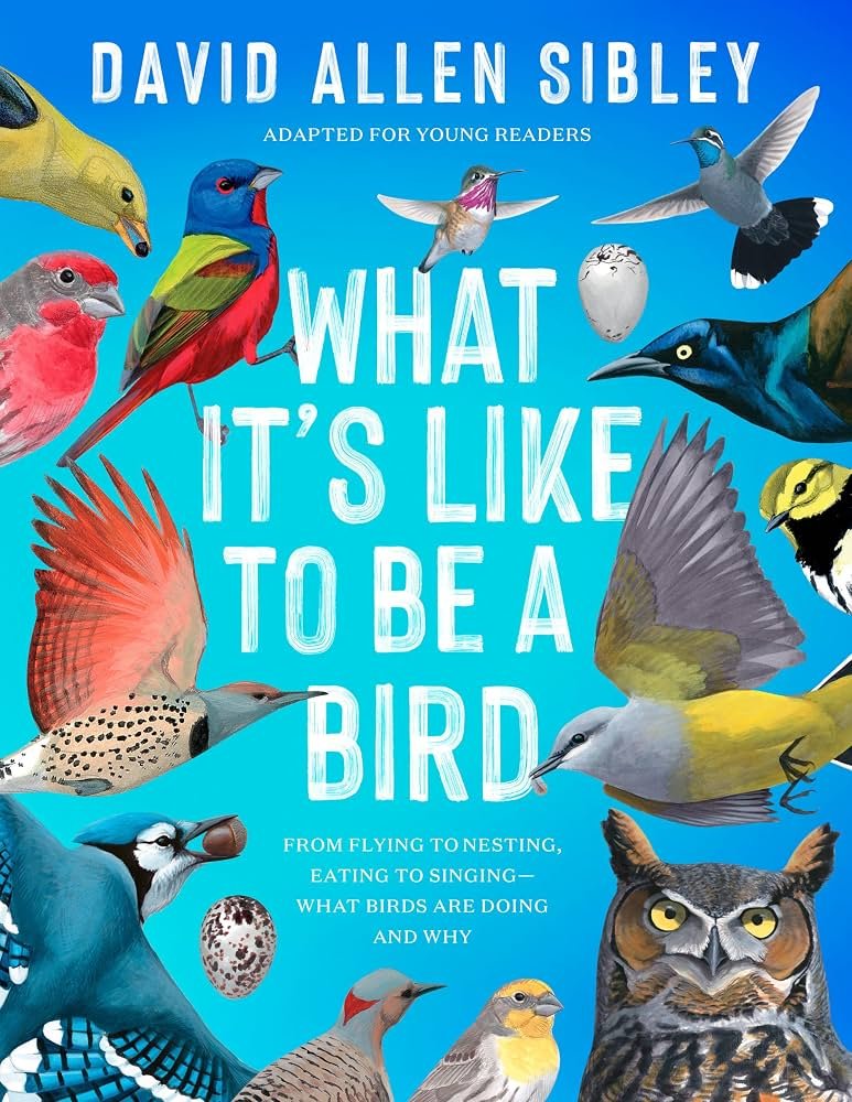 91GBDfc0CwL._AC_UF10001000_QL80_.jpg What It's Like to Be a Bird by David Allen Sibley - Image 1